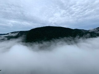 fog over the river