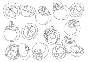 Line mangosteen fruit pattern on white background illustration vector
