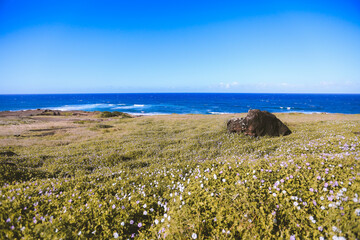 Kaena point, Oahu island, Hawaii