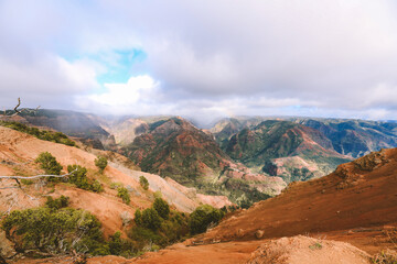 Obraz premium Waimea Canyon State Park, Kauai island, Hawaii