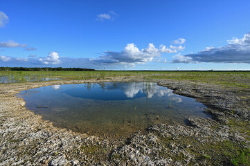 Autumn clouds over Hole-in-the-Donut habitat restoration project in Everglades National Park, Florida.