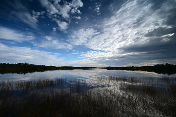 Sunrise cloudscape reflected on tranquil water of Nine Mile Pond in Everglades National Park, Florida.