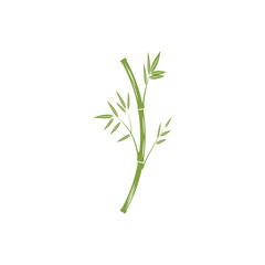 Fototapeta na wymiar Bamboo Logo Template vector icon illustration design