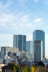 Fototapeta na wymiar 都市の風景　東京渋谷