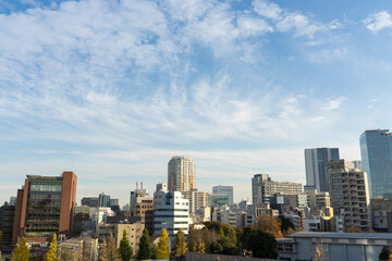 Obraz na płótnie Canvas 都市の風景　東京渋谷