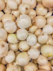 Organic white onion Greengrocer. farming local garden