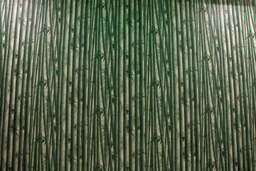 Fototapeta premium green bamboo background