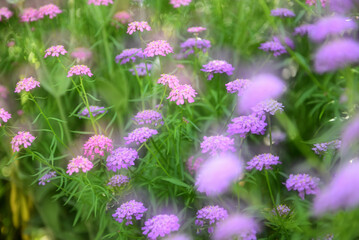 カラフルな世界