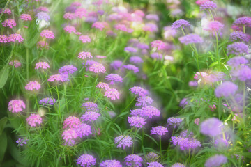 カラフルな世界