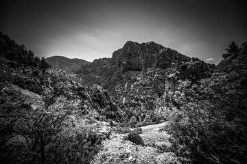 Amazing nature of the Verdon Canyon in France - travel photography