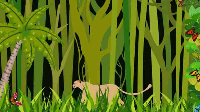 Leopard walking in the jungle, 2d animation cartoon