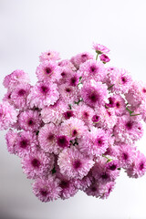 bouquet of pink chrysanthemums