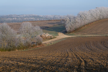 Winterlandschaft: Hecken und Bäume mit Frost und Raureif  zwischen landwirtschaftlichen Feldern im...