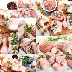 Fresh raw chicken meat collage. Food concept.