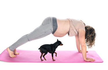 pregnant woman and pinscher