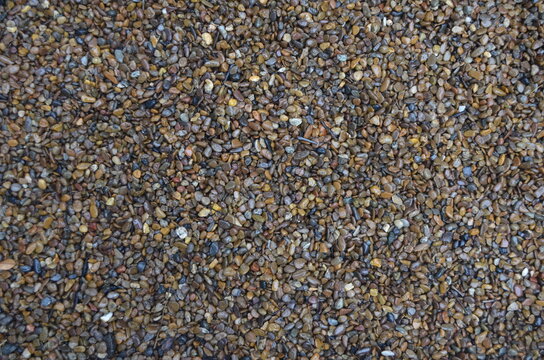 Brown Pebels texture background