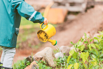 Boy with a watering can © FRAN VARGAS