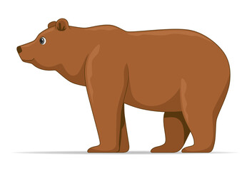 Fototapeta na wymiar Brown bear animal standing on a white background