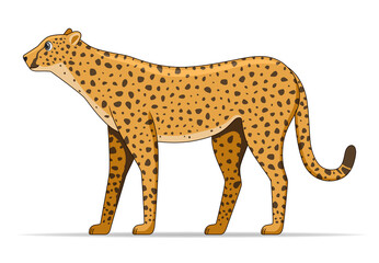 Cheetah animal standing on a white background © Genestro