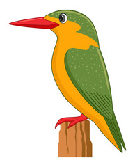 Malachite kingfisher bird on a white background