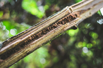 close up of a guitar