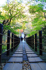 suspension bridge in autumn forest