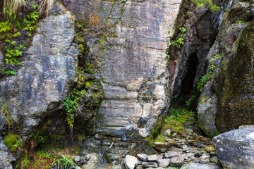 rock and a cave with green plants 