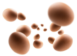 Brown chicken eggs levitate on a white background