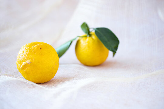 260 Best 柚子湯 Images Stock Photos Vectors Adobe Stock