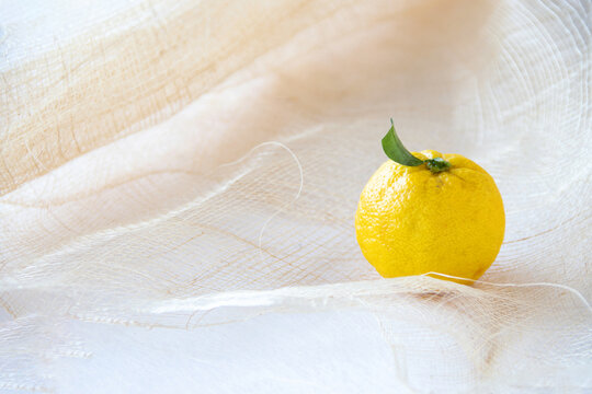 2 6 Best 柚子 Images Stock Photos Vectors Adobe Stock