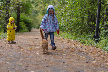 Fototapeta premium Girls and red cat in the woods