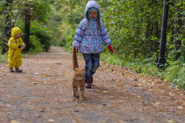 Fototapeta premium Girls and red cat in the woods