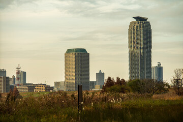 Fototapeta premium 冬の夕暮れの河川敷 埼玉県川口市 12月