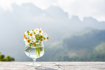 Wild flower in glass setting on bamboo table with morning hill in mist on background.