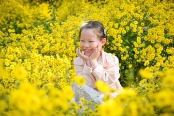 Fototapeta premium Young beautiful asian girl child sitting and smiles in yellow Chrysanthemum field.
