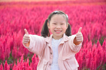 Young beautiful asian girl child smiling and showing thumbs up in red flower field.