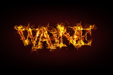 Wayne name made of fire and flames