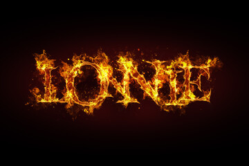 Lonnie name made of fire and flames