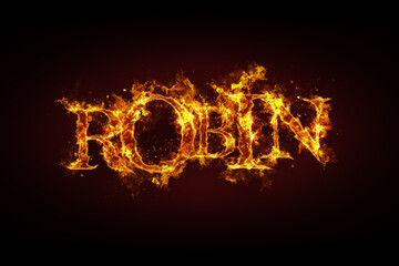 Robin name made of fire and flames
