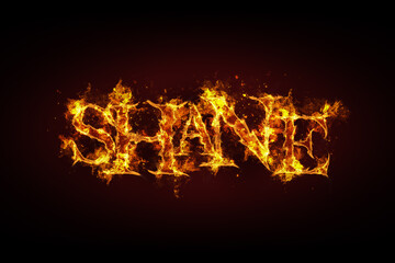 Fototapeta na wymiar Shane name made of fire and flames