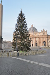 Fototapeta na wymiar Presepe San Pietro Roma Vaticano Albero Natale 2020