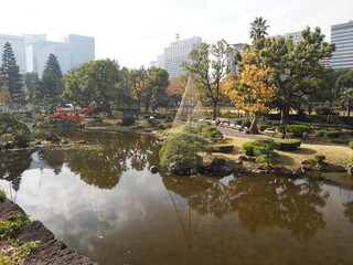 Fototapeta na wymiar 冬を迎える前の日本の公園の風景