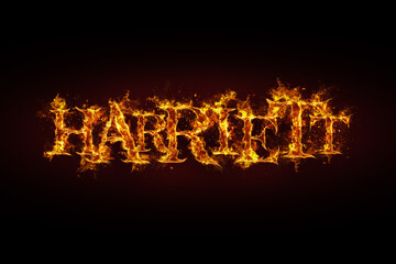 Harriett name made of fire and flames