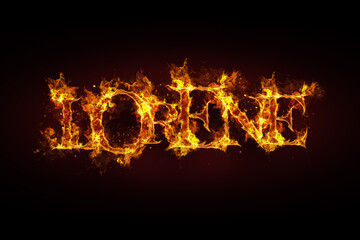 Lorene name made of fire and flames