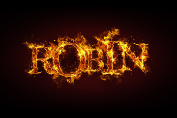 Robin name made of fire and flames