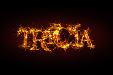 Tricia name made of fire and flames