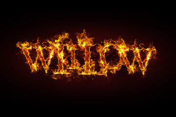 Willow name made of fire and flames