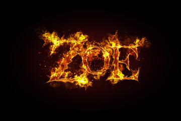 Zoe name made of fire and flames