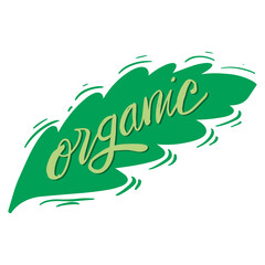 Organic lettering with leaf. Logo concept.