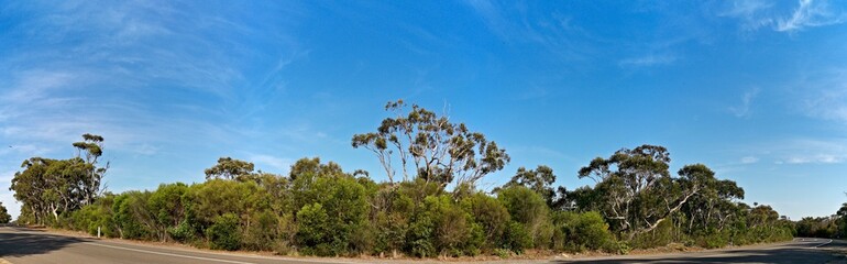 Beautiful panoramic view of mountain ranges, trees and deep blue sky from a trail, Mackerel Trail, Ku-ring-gai Chase National Park, Sydney, New South Wales, Australia
